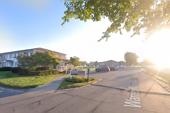 Warren Police Investigate Case of Stabbed Husky, Owner and Residents Urged to Provide Leads