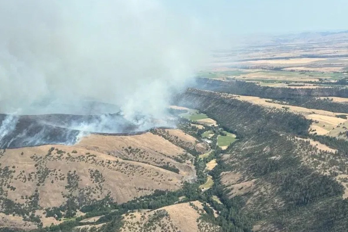 Wasco County Battles Expanding Larch Creek Fire as Oregon Governor