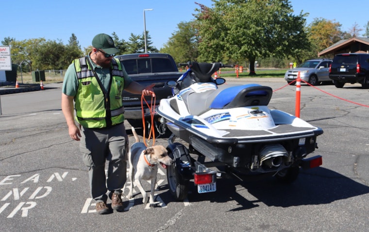 Washington Authorities Urge Boaters to Prevent Invasive Species With "Clean, Drain, Dry" Campaign Amid Increased Funding for Protection Efforts