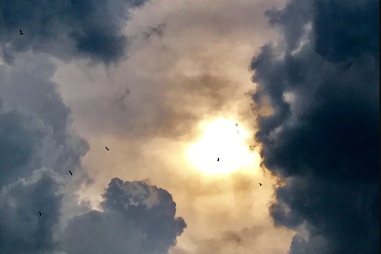 Washington D.C. Braces for Sweltering Heat with Shower and Thunderstorm Threats Throughout the Week