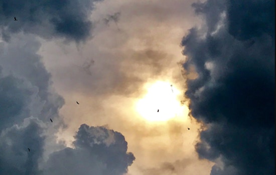 Washington D.C. Braces for Sweltering Heat with Shower and Thunderstorm Threats Throughout the Week