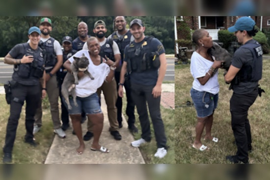 Washington D.C. Police Reunite Stolen French Bulldog with Owner After Successful Sting Operation