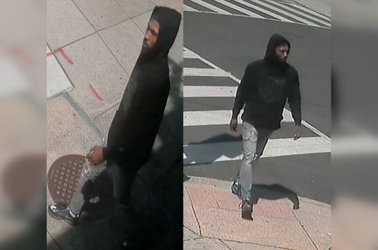 Washington, D.C. Police Seek Assistance in Locating Suspect in Northeast Armed Carjacking Incident