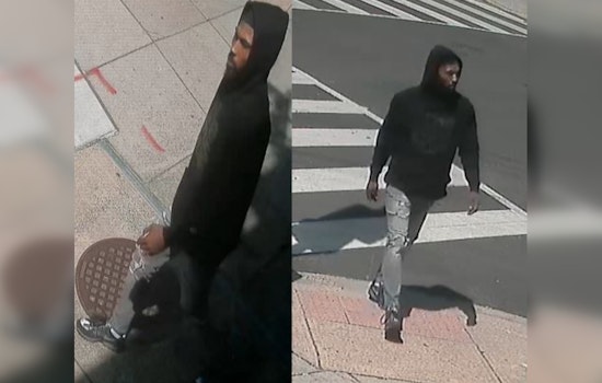 Washington, D.C. Police Seek Assistance in Locating Suspect in Northeast Armed Carjacking Incident
