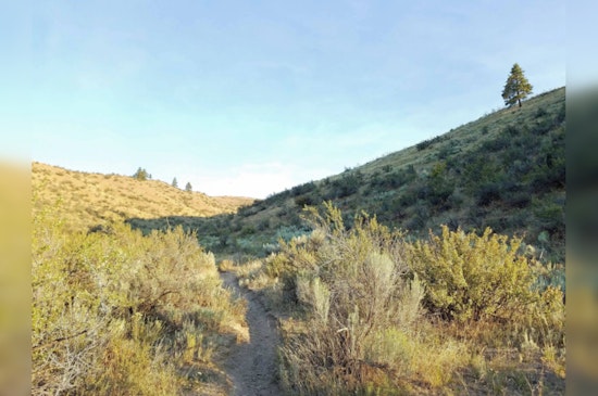 Washington Department of Fish and Wildlife Seeks Public Feedback on New Rule to Protect Lands from Unauthorized Trails