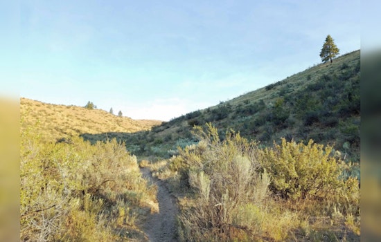 Washington Department of Fish and Wildlife Seeks Public Feedback on New Rule to Protect Lands from Unauthorized Trails