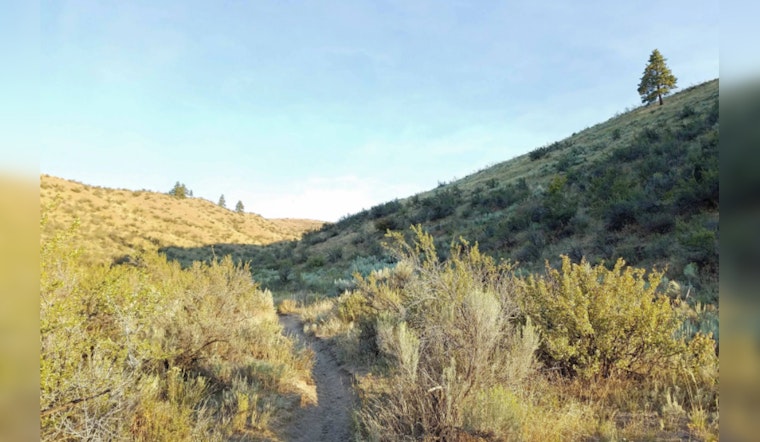 Washington Department of Fish and Wildlife Seeks Public Feedback on New Rule to Protect Lands from Unauthorized Trails