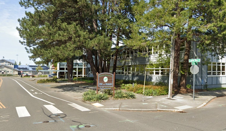 Washington Wildlife Officials to Discuss Cougar Hunting and Wolf Protection in Virtual Meeting