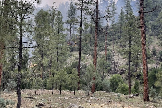 Watch Fire Achieves 100% Containment on San Carlos Reservation Amid High Temperature Warnings