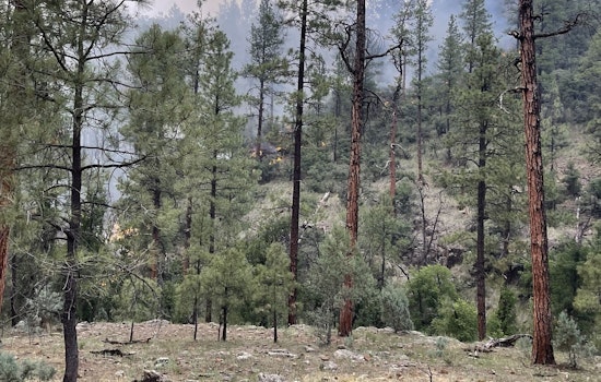 Watch Fire Achieves 100% Containment on San Carlos Reservation Amid High Temperature Warnings