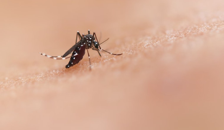 West Nile Virus-Carrying Mosquitoes Detected in Placer County's Sheridan Area Amid Rising Summer Heat