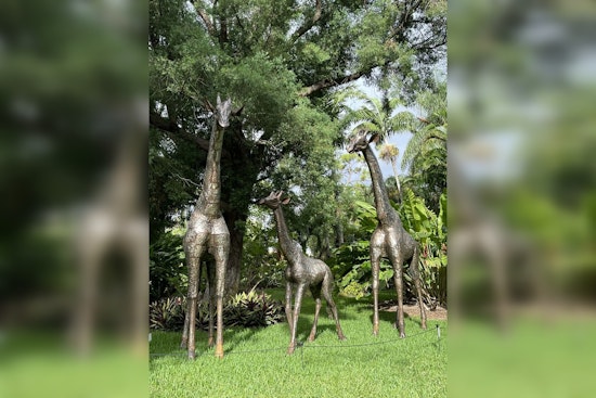 West Palm Beach's Mounts Botanical Garden Invites Public to Name New Metal Animal Sculptures Ahead of Ribbit the Exhibit II