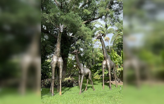 West Palm Beach's Mounts Botanical Garden Invites Public to Name New Metal Animal Sculptures Ahead of Ribbit the Exhibit II