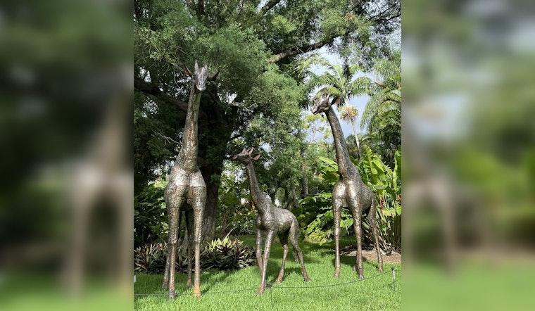 West Palm Beach's Mounts Botanical Garden Invites Public to Name New Metal Animal Sculptures Ahead of Ribbit the Exhibit II