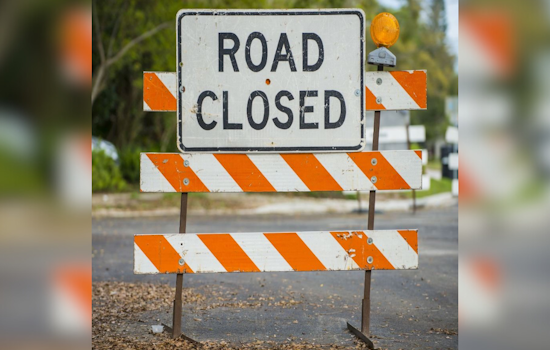Westbound Plant Street in Winter Garden to Close for Tree Removal on July 31