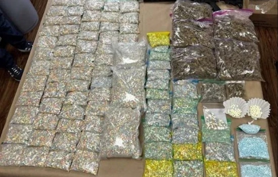 Williamson and Bell County Authorities Seize Over 115,000 Pills in Massive Drug Bust