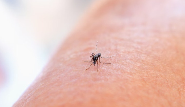 Williamson County Reports First Human Case of West Nile Virus This Year