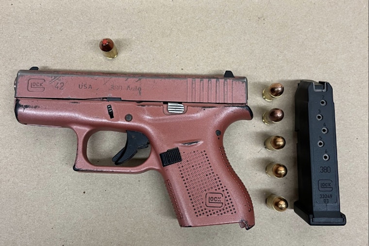 Woman Charged After Brandishing Pink Firearm During Dine-and-Dash Incident in Boston's Chinatown