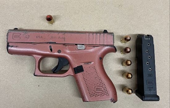 Woman Charged After Brandishing Pink Firearm During Dine-and-Dash Incident in Boston's Chinatown