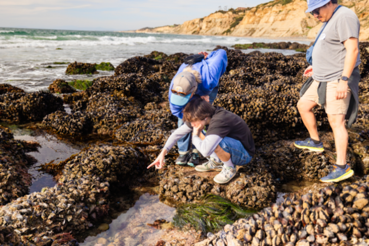 Discover the Ocean's Wonders with Birch Aquarium's New Outdoor Adventure Bundles in San Diego