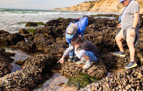 Discover the Ocean's Wonders with Birch Aquarium's New Outdoor Adventure Bundles in San Diego