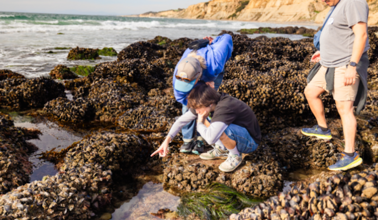 Discover the Ocean's Wonders with Birch Aquarium's New Outdoor Adventure Bundles in San Diego