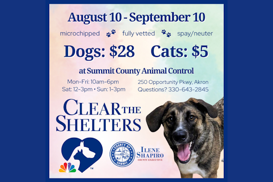 Find Your Furry Match, Summit County's Clear the Shelter Event Slashes Adoption Fees