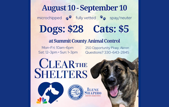 Find Your Furry Match, Summit County's Clear the Shelter Event Slashes Adoption Fees