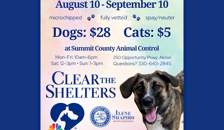 Find Your Furry Match, Summit County's Clear the Shelter Event Slashes Adoption Fees