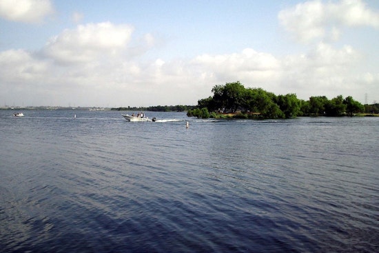 1,000 Red Drum Fish Dead at Calaveras Lake, Suspected Oxygen Depletion Confirmed