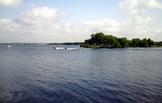1,000 Red Drum Fish Dead at Calaveras Lake, Suspected Oxygen Depletion Confirmed