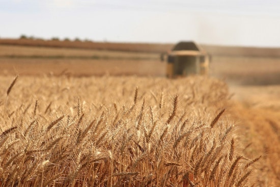 28 Arrested in Camarillo and Oxnard for Spree of Agricultural Thefts