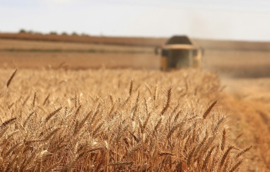 28 Arrested in Camarillo and Oxnard for Spree of Agricultural Thefts