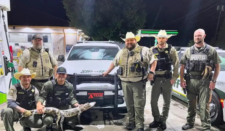 Alligator Found Wandering Rowan County Roadway Confounds Spencer Officials