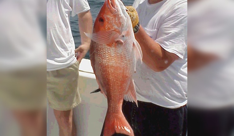 Anglers' Alert: Federal Red Snapper Season Ends September 6, Texas State Waters Remain Open for Fishing