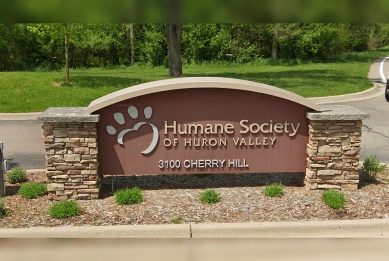 Ann Arbor Shelter Care for 30 Abandoned Birds as Part of Record Influx
