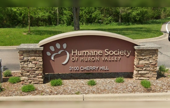 Ann Arbor Shelter Care for 30 Abandoned Birds as Part of Record Influx
