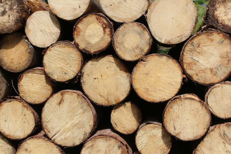 Anoka County's Scheduled Firewood Sale Offers Sustainable Heating Options for Fall