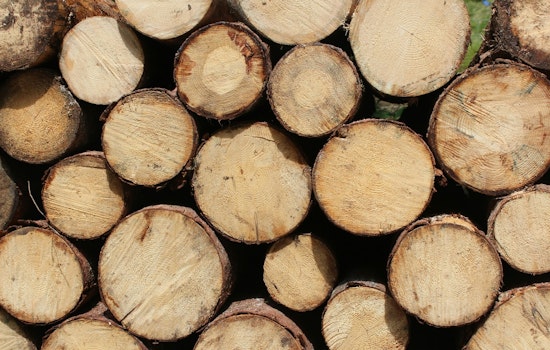 Anoka County's Scheduled Firewood Sale Offers Sustainable Heating Options for Fall