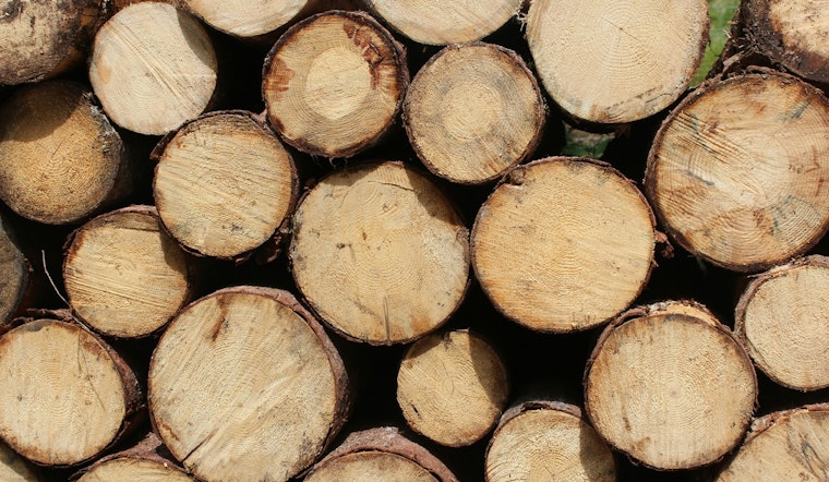 Anoka County's Scheduled Firewood Sale Offers Sustainable Heating Options for Fall