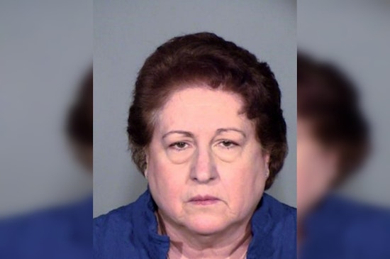 Arizona Republican Activist Pleads Guilty in 2020 Election False Elector Case