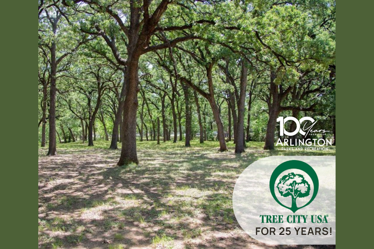 Arlington Garners Prestigious Tree City USA Silver Award for 25-Year Commitment to Urban Forestry