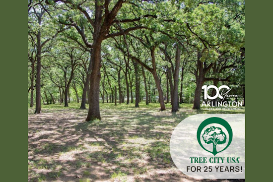Arlington Garners Prestigious Tree City USA Silver Award for 25-Year Commitment to Urban Forestry
