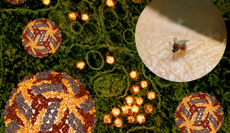 Arlington Initiates Ground Spraying to Combat West Nile Virus After Positive Mosquito Samples Detected