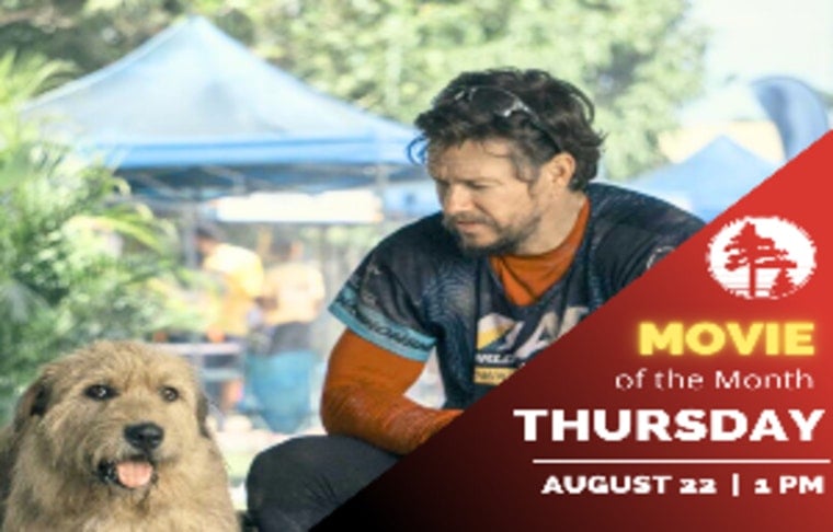 "Arthur the King" Screening at Mary Ann Young Center Promises Blaine Viewers an Uplifting Adventure