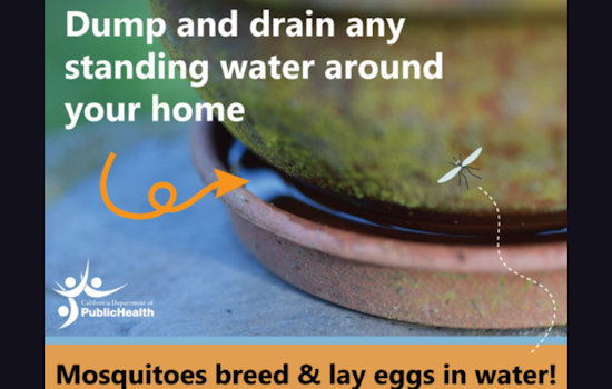 Atherton Community on Alert: West Nile Virus Detected in Local Bird Population