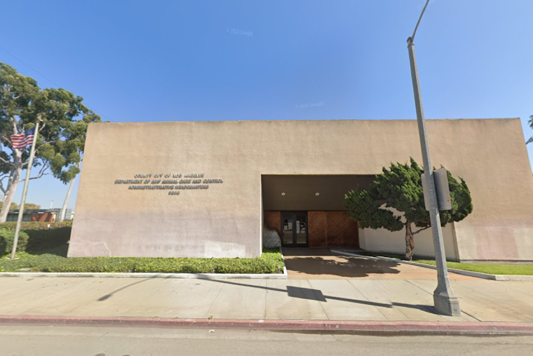 Baldwin Park Animal Care Center Battles Strep Zoo Outbreak, Implements New Safety Measures