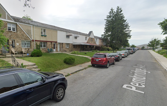 Baltimore Man Faces 178 Counts of Animal Cruelty After 83 Neglected Dogs Found on Property