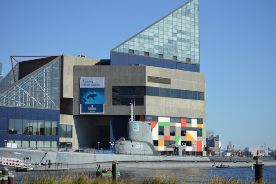 Baltimore's National Aquarium Unveils Revolutionary Harbor Wetland Exhibit in Inner Harbor