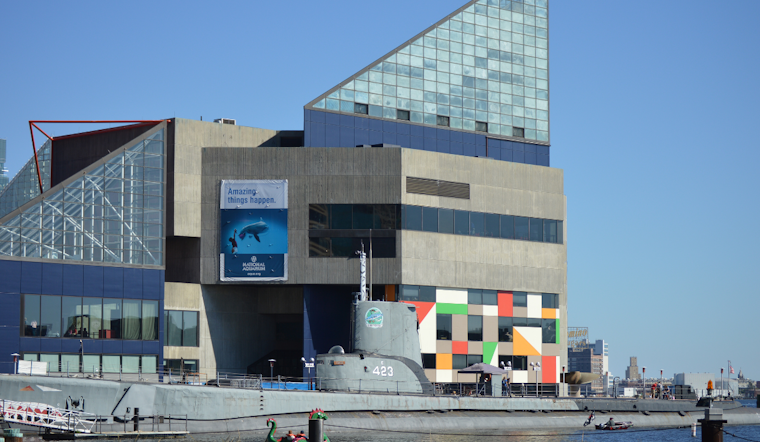Baltimore's National Aquarium Unveils Revolutionary Harbor Wetland Exhibit in Inner Harbor